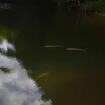 Romantique, Avec Son Petit Etang Prive En Dordogne 펜션 몽티냑