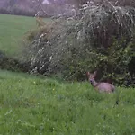 Romantique, Avec Son Petit Etang Prive En Dordogne 몽티냑