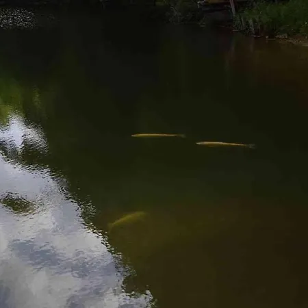 Romantique, Avec Son Petit Etang Prive En Dordogne Vakantiehuis La Bachellerie