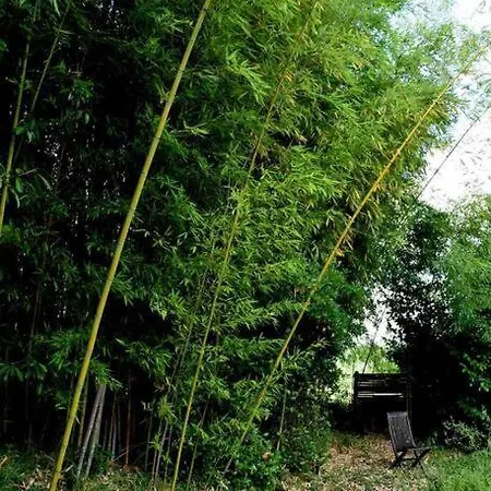 Romantique, Avec Son Petit Etang Prive En Dordogne Vakantiehuis La Bachellerie