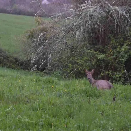 Romantique, Avec Son Petit Etang Prive En Dordogne La Bachellerie