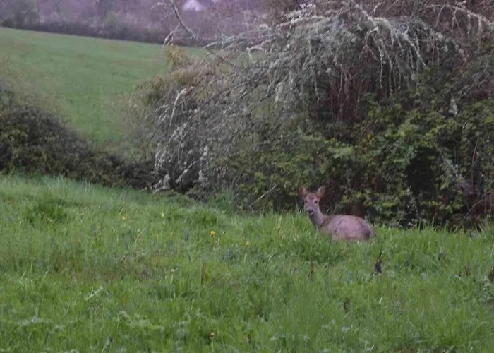 Romantique, Avec Son Petit Etang Prive En Dordogne Montignac-Lascaux
